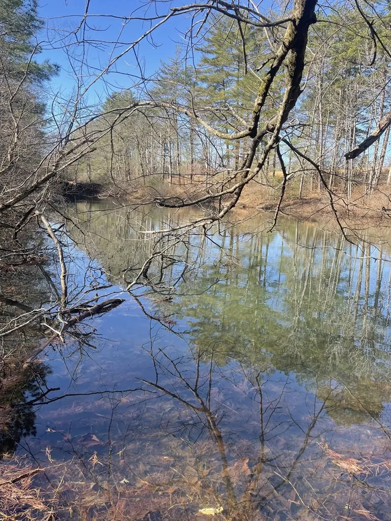 233 Morgan Road Crossville TN 38555