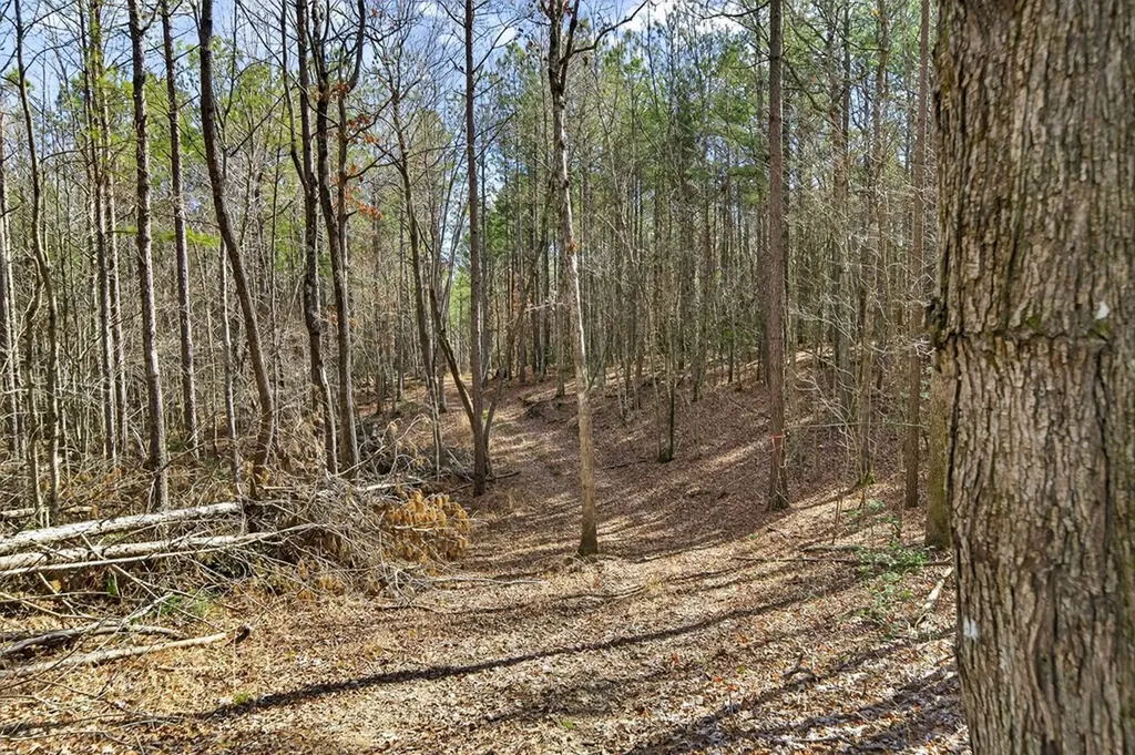 1780 Wolf Haven Road Spencer TN 38585