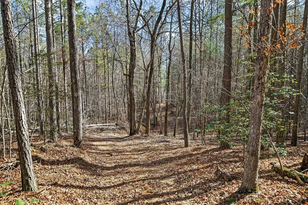 1780 Wolf Haven Road Spencer TN 38585