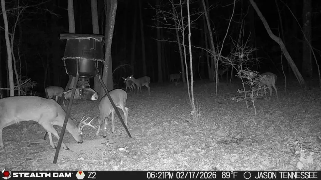 1780 Wolf Haven Road Spencer TN 38585