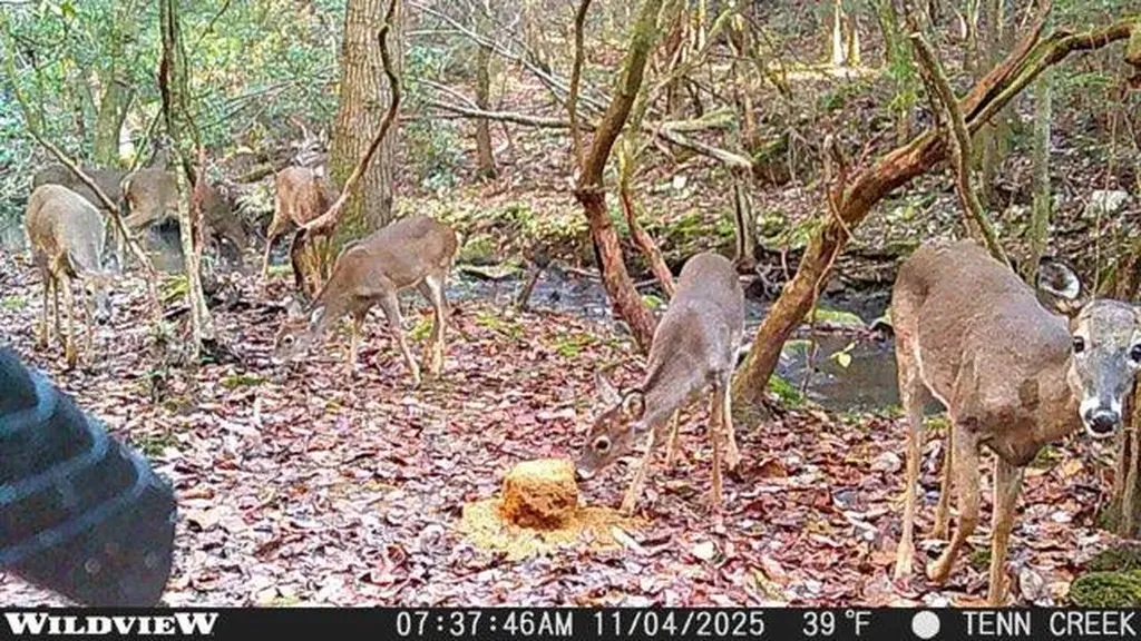 1780 Wolf Haven Road Spencer TN 38585