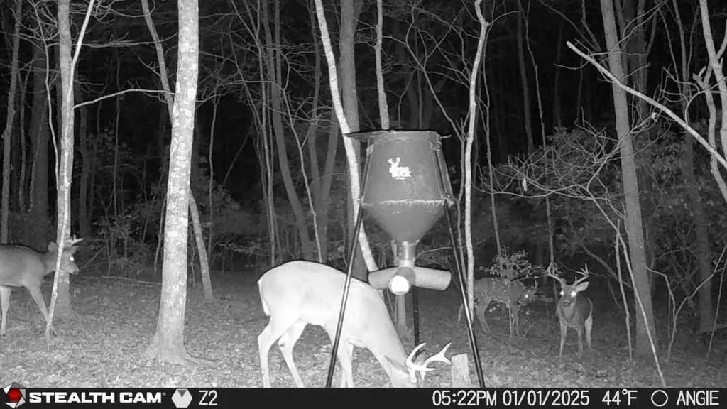 1780 Wolf Haven Road Spencer TN 38585