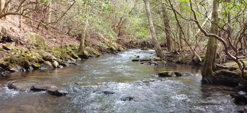 1780 Wolf Haven Road Spencer TN 38585