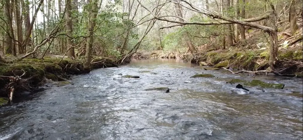 1780 Wolf Haven Road Spencer TN 38585