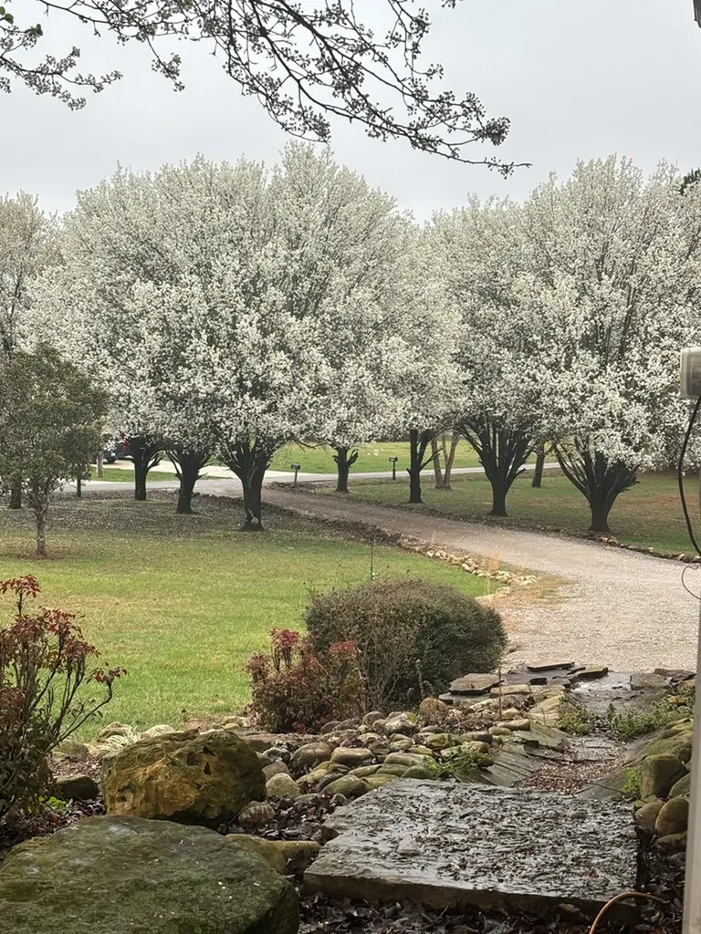 409 Westwood Drive Sparta TN 38583