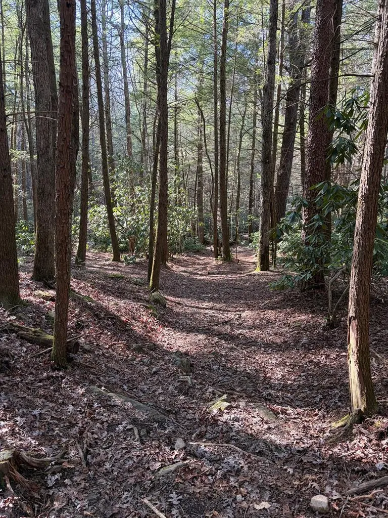 504 Acorn Lane Jamestown TN 38556