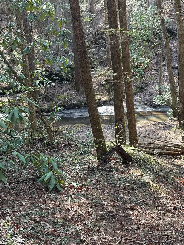 504 Acorn Lane Jamestown TN 38556