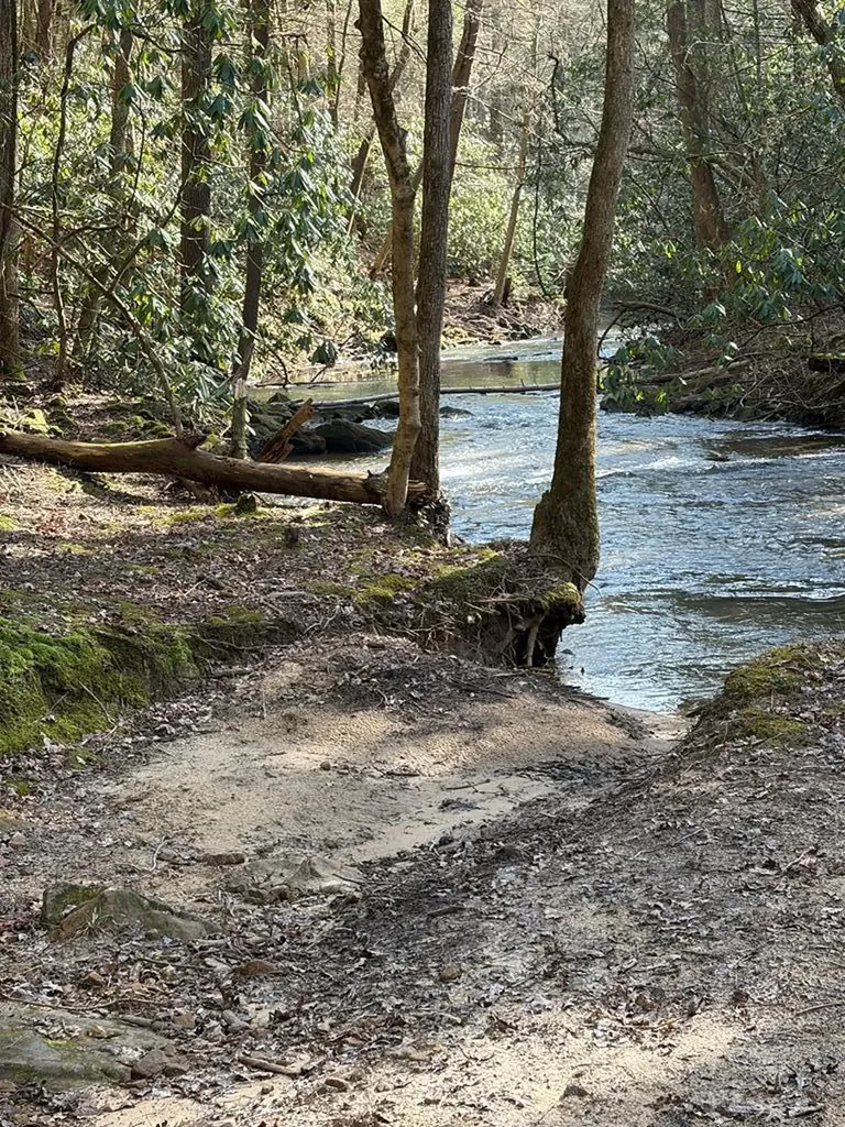 504 Acorn Lane Jamestown TN 38556