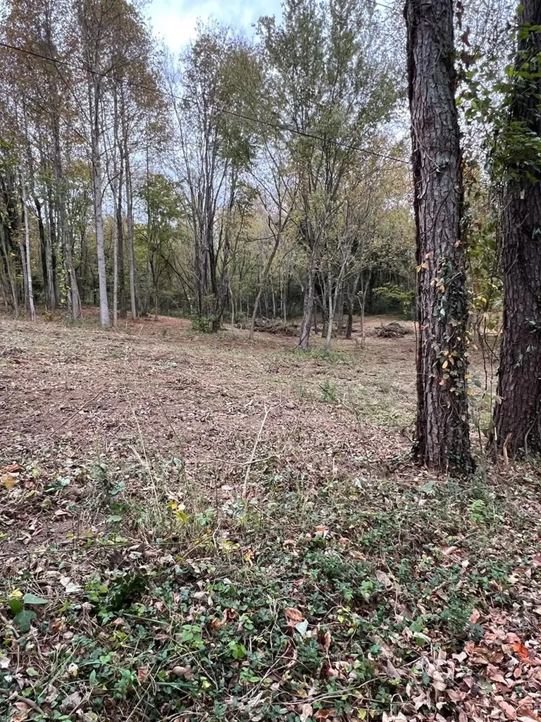 2220 Crag Rock Cookeville TN 38501