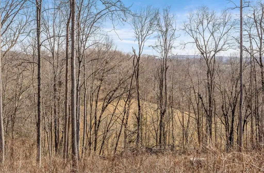 0 Forest Circle Sparta TN 38583