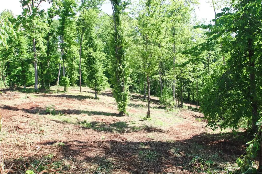 0 Forest Circle Sparta TN 38583