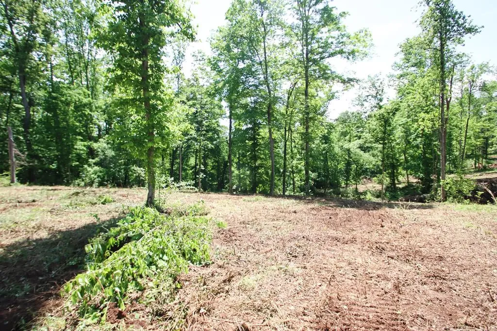 0 Forest Circle Sparta TN 38583