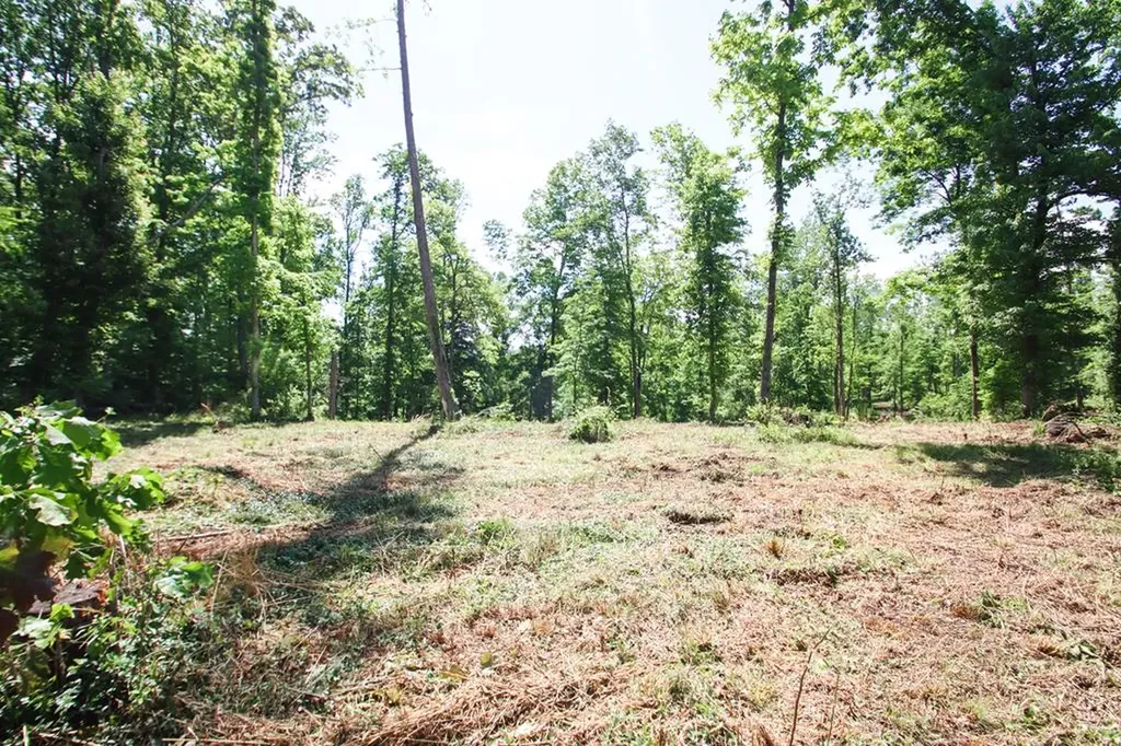 0 Forest Circle Sparta TN 38583