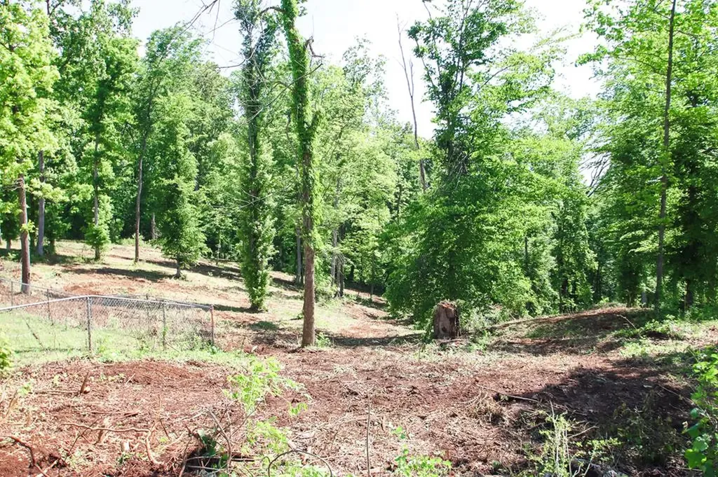 0 Forest Circle Sparta TN 38583