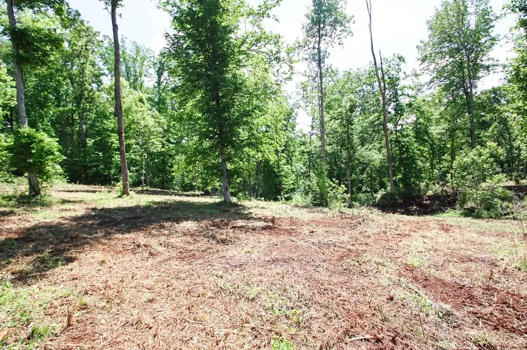 0 Forest Circle Sparta TN 38583