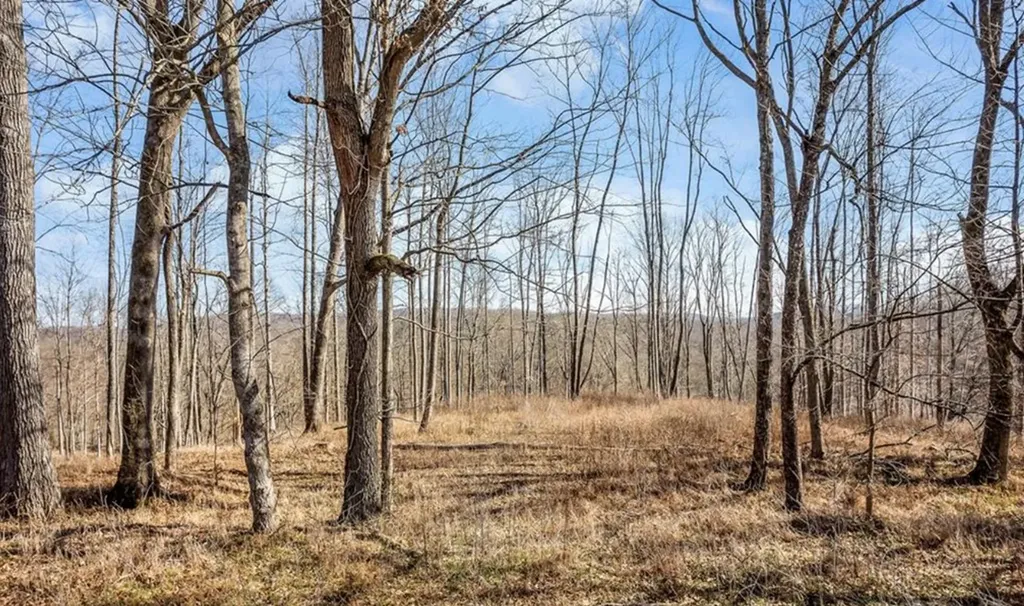 0 Forest Circle Sparta TN 38583