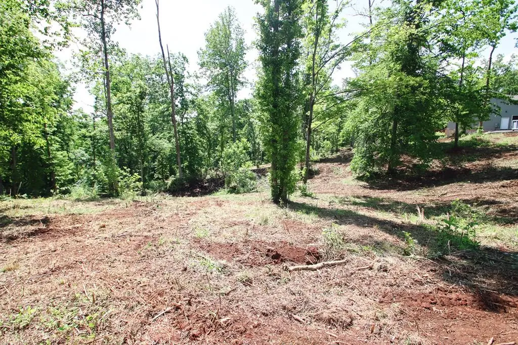 0 Forest Circle Sparta TN 38583