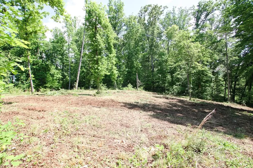 0 Forest Circle Sparta TN 38583
