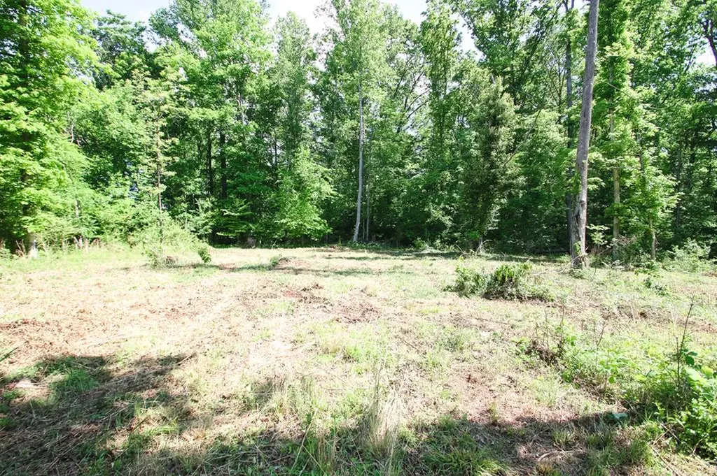 0 Forest Circle Sparta TN 38583