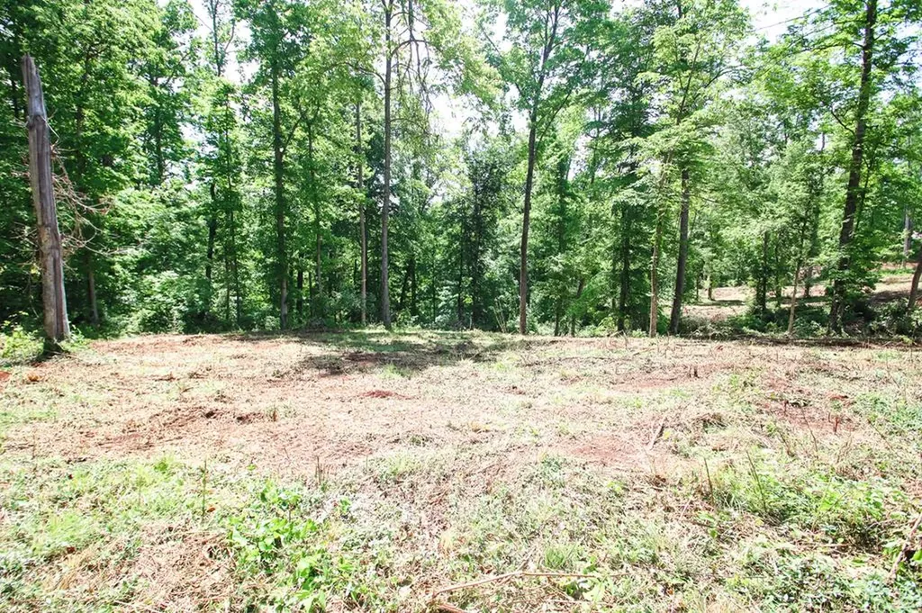 0 Forest Circle Sparta TN 38583