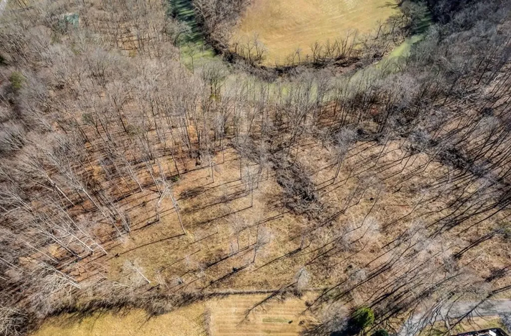 0 Forest Circle Sparta TN 38583