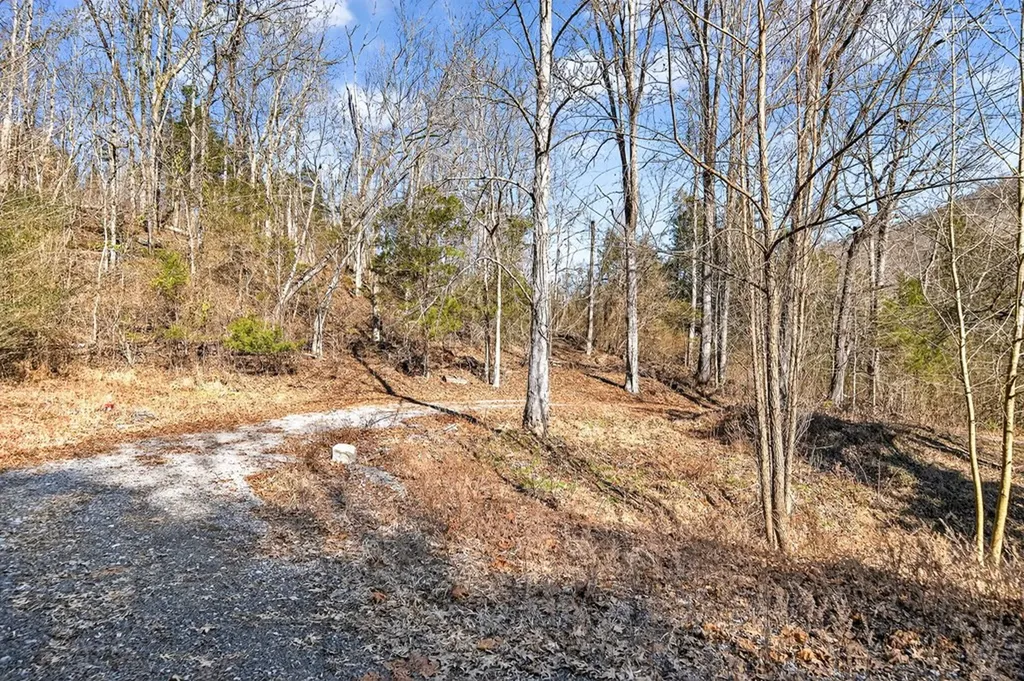 515 Big Branch Road Granville TN 38564