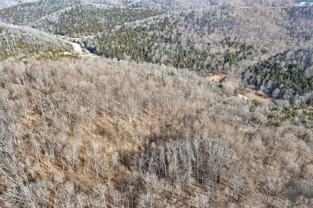 515 Big Branch Road Granville TN 38564