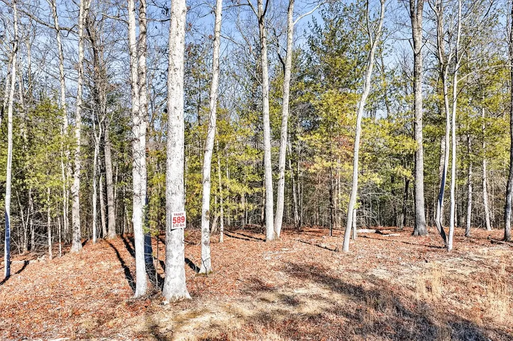 0 Proctor Place Road Jamestown TN 38556