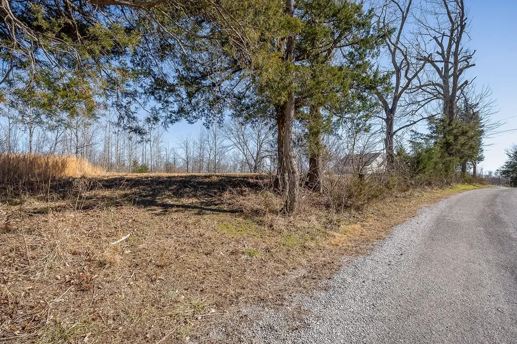 0 Backbone Road Smithville TN 37166