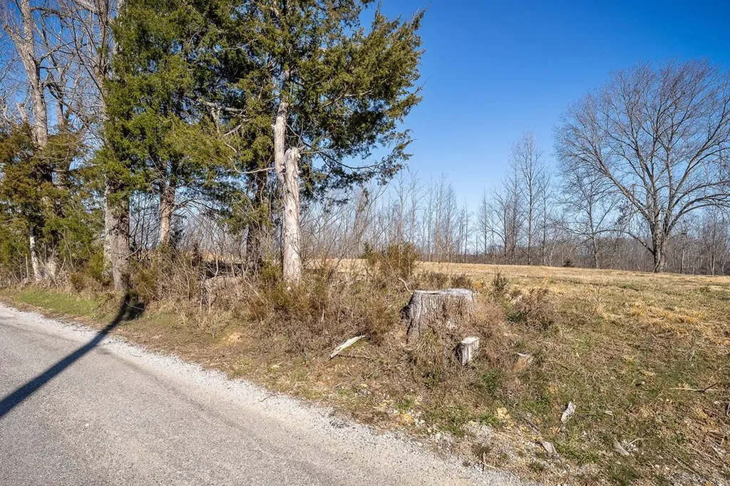 0 Backbone Road Smithville TN 37166