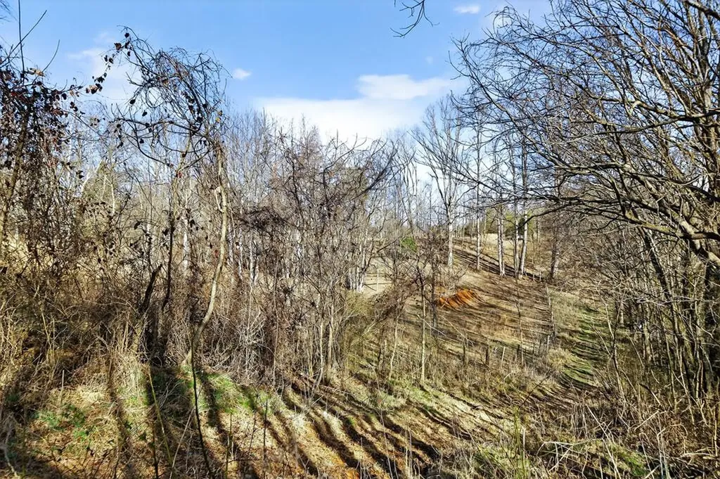 1405 Cane Creek Cummingsville Road Sparta TN 38583