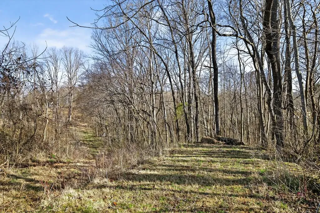 1405 Cane Creek Cummingsville Road Sparta TN 38583