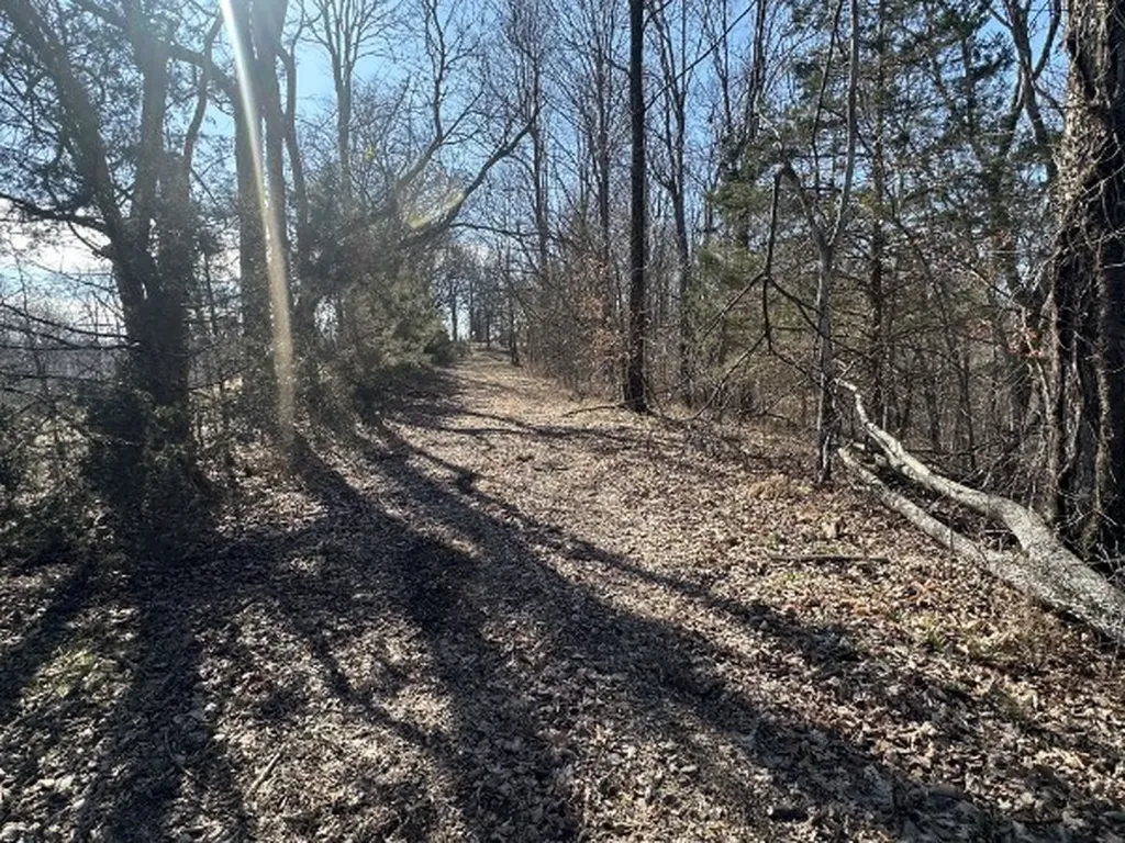 0 Hurricane Ridge Smithville TN 37166