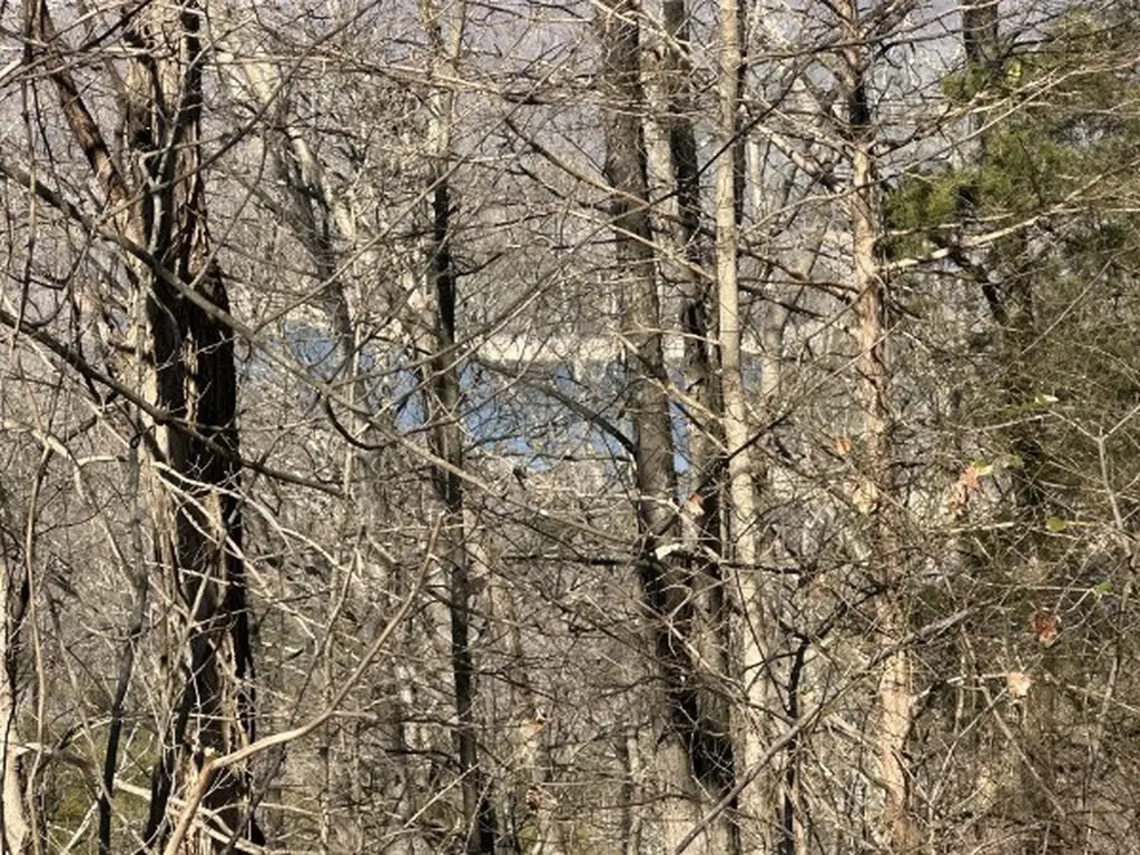 0 Hurricane Ridge Smithville TN 37166