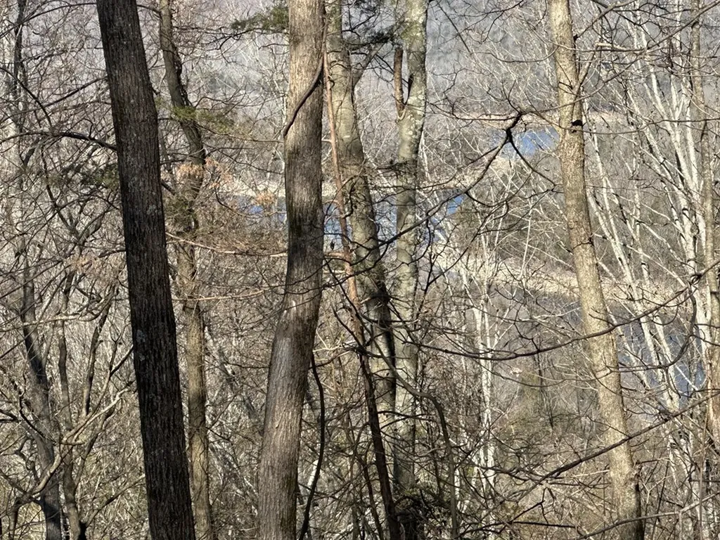 0 Hurricane Ridge Smithville TN 37166