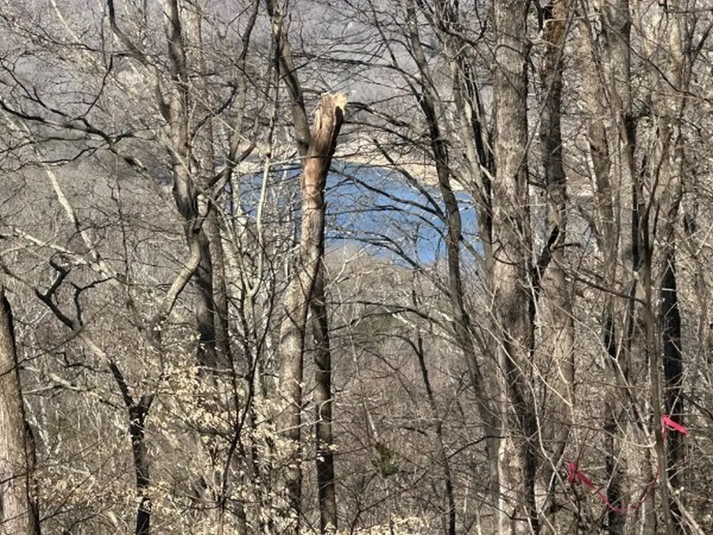0 Hurricane Ridge Smithville TN 37166