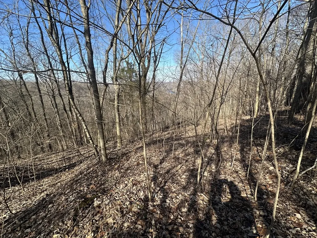 0 Hurricane Ridge Smithville TN 37166