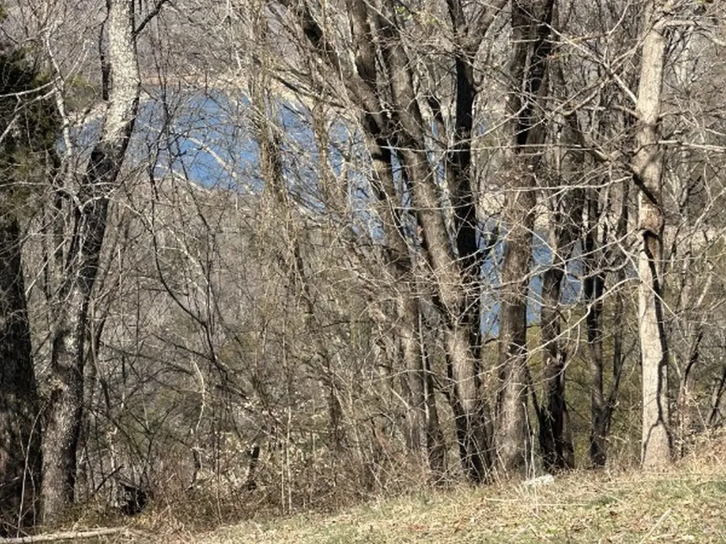 0 Hurricane Ridge Smithville TN 37166