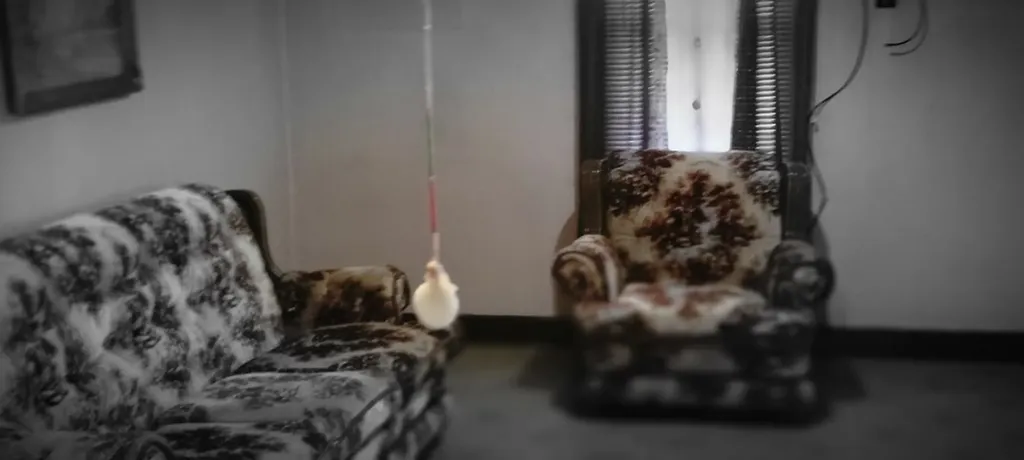 13323 Highway 70 North Crossville TN 38571