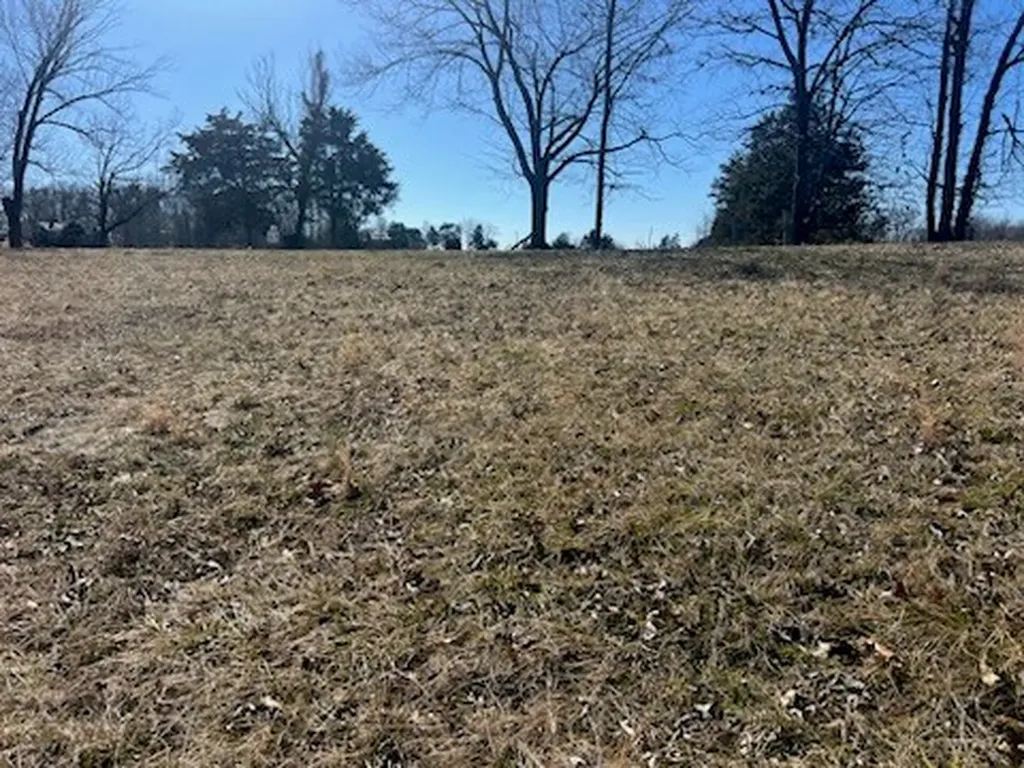 Lot 9 Reagan Road Byrdstown TN 38549