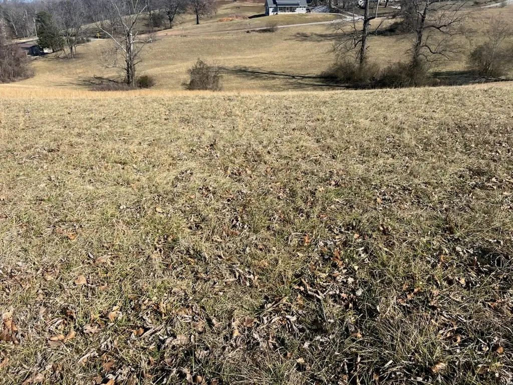 Lot 9 Reagan Road Byrdstown TN 38549