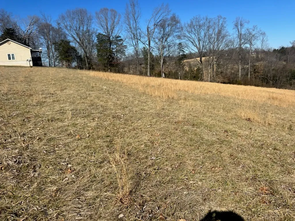 Lot 9 Reagan Road Byrdstown TN 38549