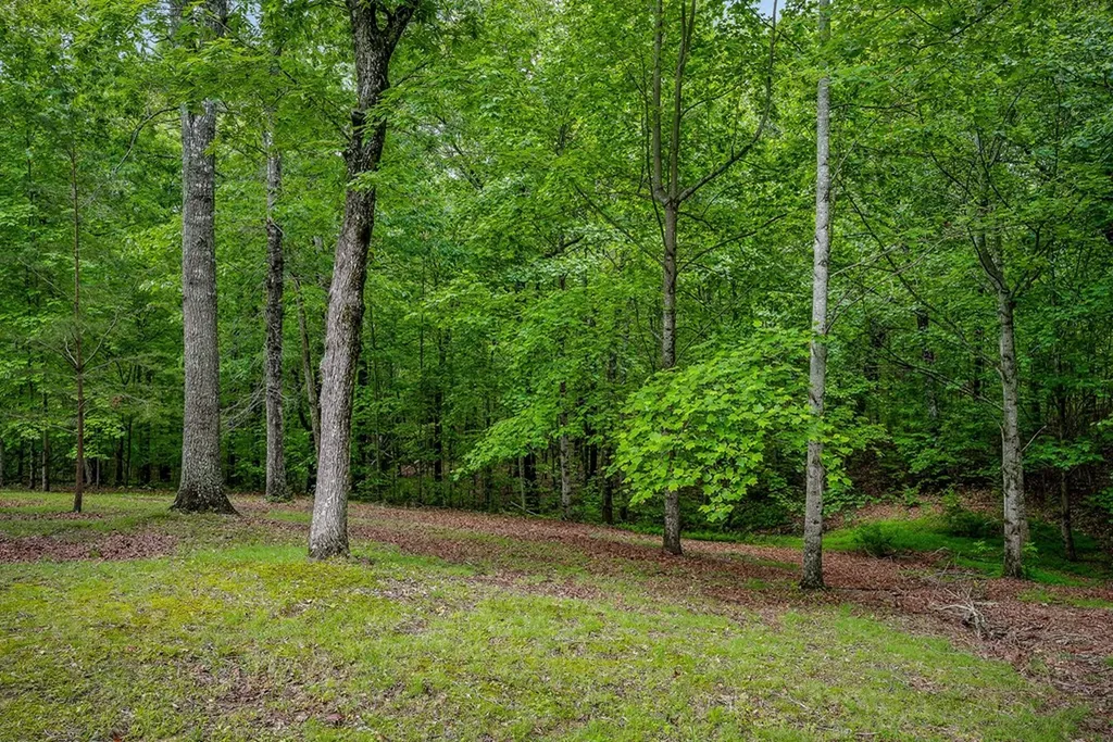 1263 Ridge Road W Crossville TN 38572