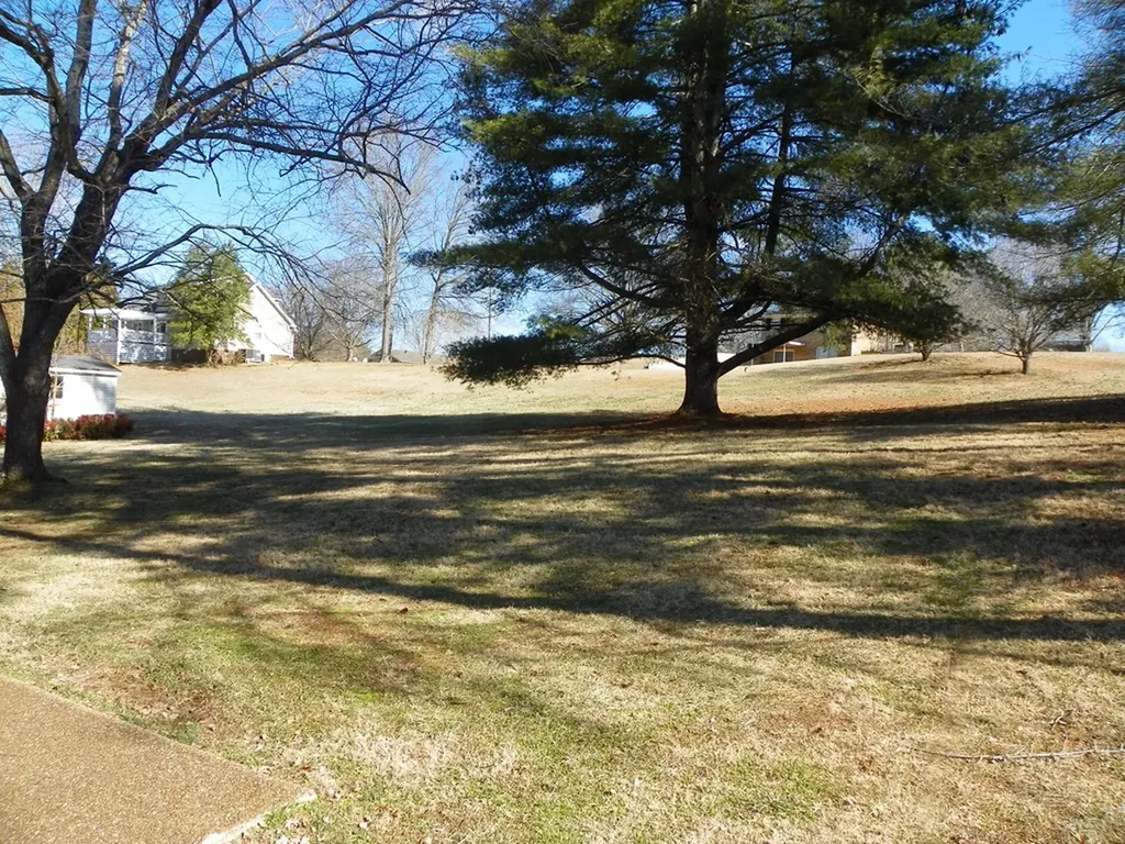 136 S Arrowhead Drive Mcminnville TN 37110