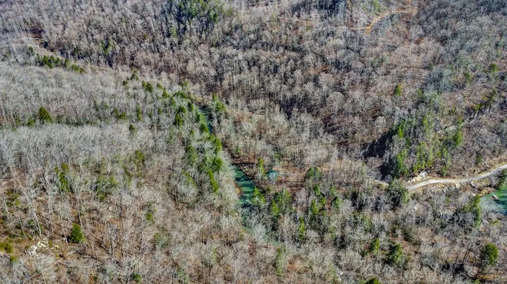 1291 Buck Lane Crawford TN 38554