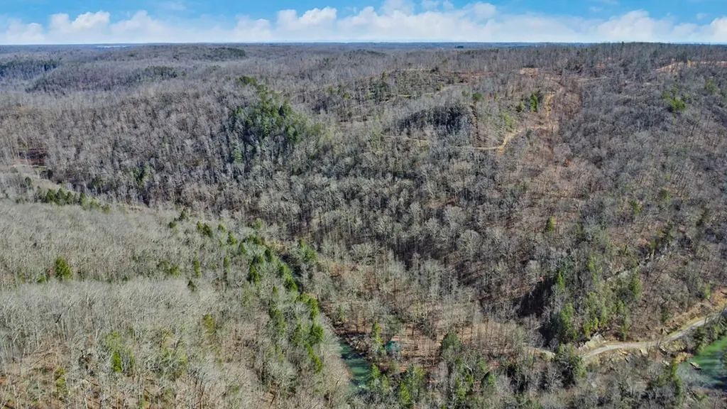 1291 Buck Lane Crawford TN 38554