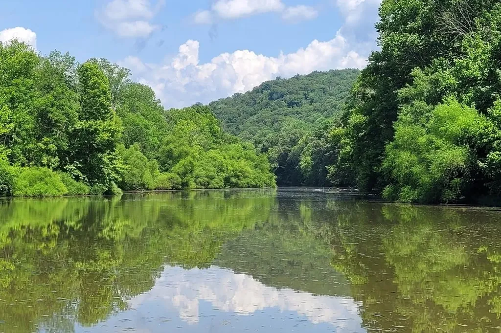 3604 Bartlett Drive Cookeville TN 38501