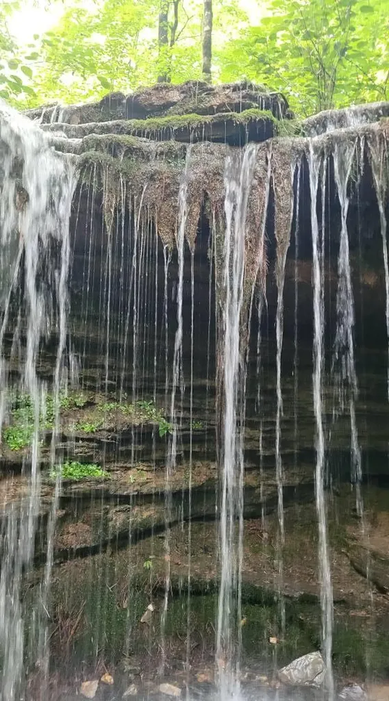 3604 Bartlett Drive Cookeville TN 38501