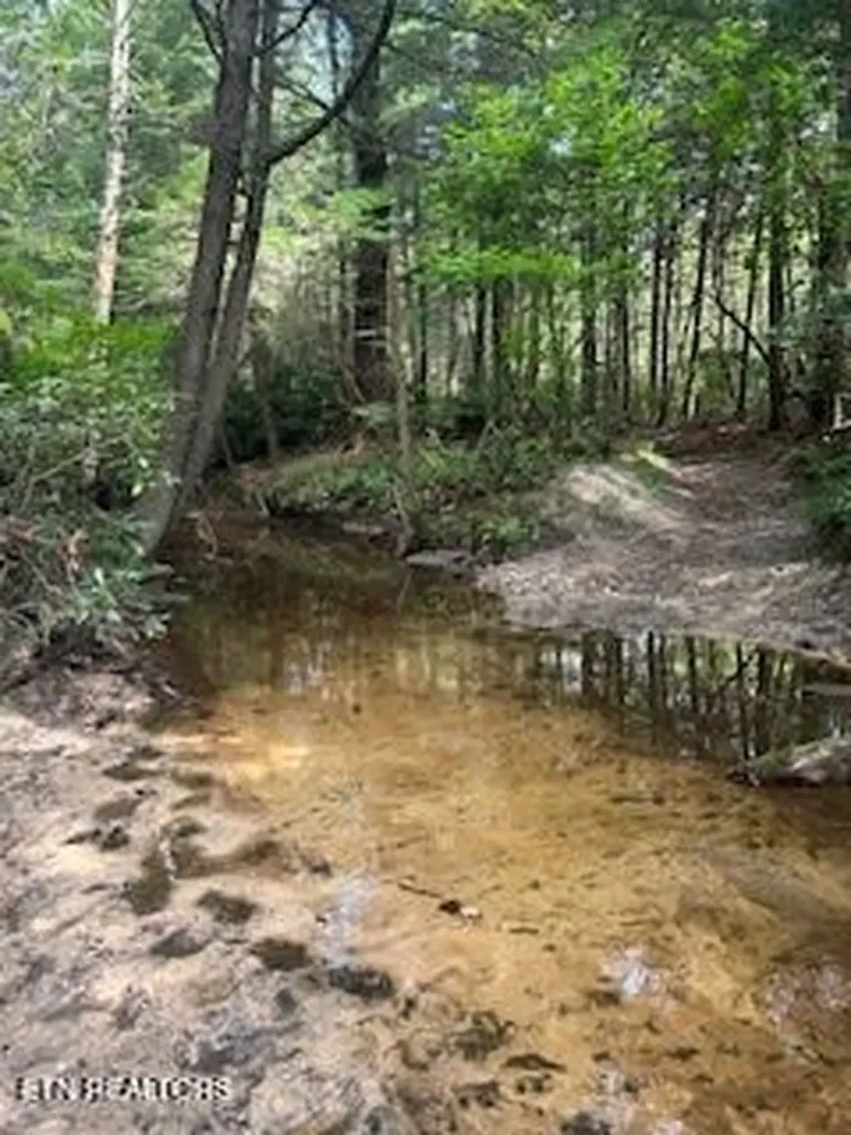 0 Ridge Top Drive Jamestown TN 38556