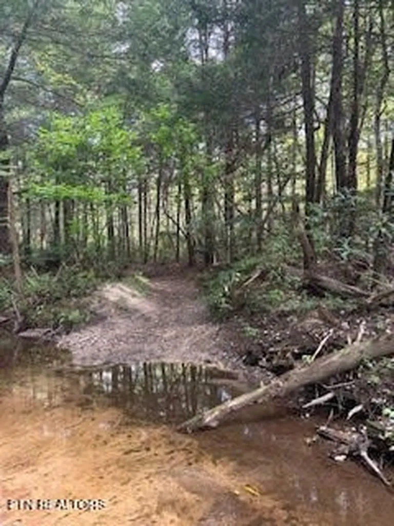 0 Ridge Top Drive Jamestown TN 38556